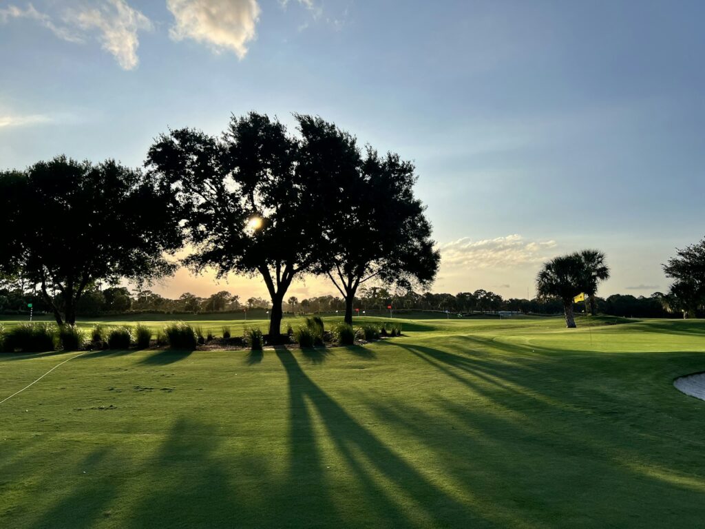 Golf course with a green and trees, the setting for a golf break